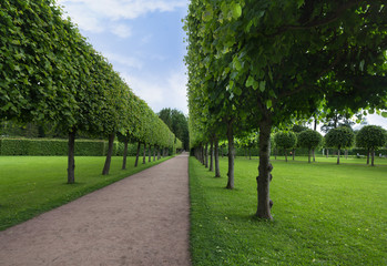 Obraz premium Beautiful Catherine Park in Tsarskoye Selo, Pushkin, Russia