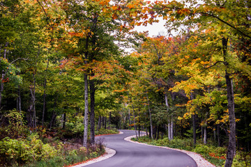Obraz premium Door County Winding Road