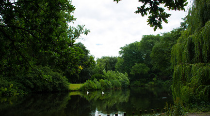 Parque verde