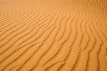 Texture of Dubai yellow sand desert
