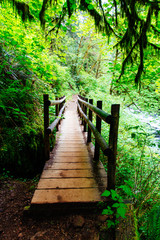 Obraz premium Right This Way