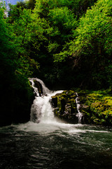 Sweet Creek and Peace