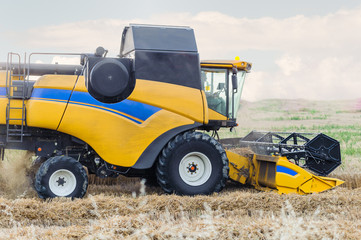 combine harvester (Turkish bicerdover) machine harvesting in the field of wheat