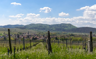 Fototapeta na wymiar Blick auf den Weinort Göcklingen