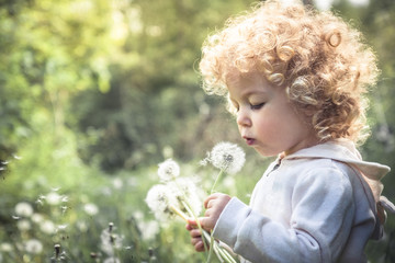 Cute curly child girl looking like dandelion blowing dandelion in summer park in sunny day with...