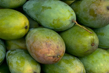 fresh green mangoes closeup