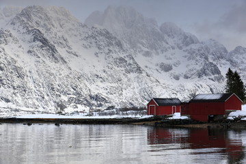 Austnesfjorden-seahouses and boatsheds. Vestpollen village-central Austvagoya island. Nordland fylke-Norway. 0100