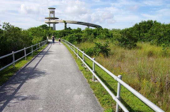 Shark valley (Everglade, floride, USA)