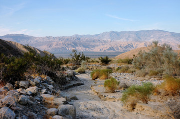 Coachella Valley Desert Landscape