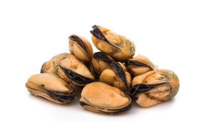 Mussels sea food isolated