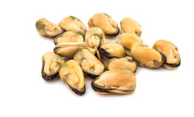 Mussels sea food isolated