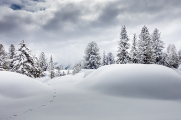 Schneespur im tief verschneiten Wald in Österreich