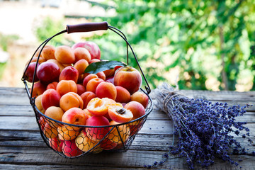 Apricots, Fruits in a metal basket on a vintage wooden background.Lavender, Flowers Bouquet.Food or Healthy diet concept.Super Food.Vegetarian.Copy space for Text.selective focus.