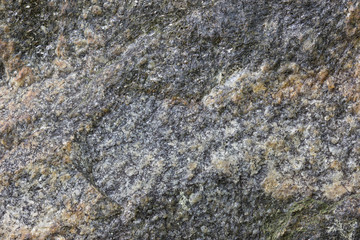 Close-up of a rock surface texture.