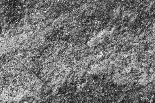 Close-up of a rock surface texture in black and white.
