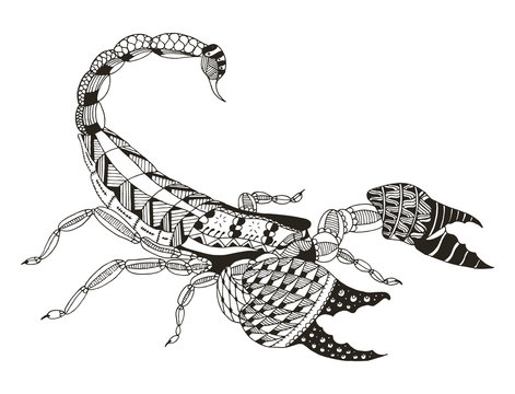 Scorpion zentangle stylized, vector, illustration, freehand pencil, hand drawn, pattern. Print for t-shirts, mobile cover design.