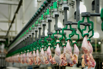 Frigor&iacute;fico de aves