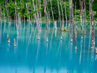青い池