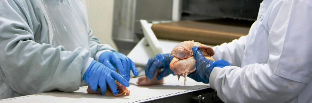 Frigor&iacute;fico de aves