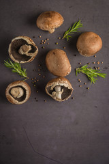 Forest picking mushrooms