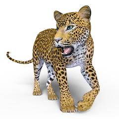 Obraz premium ヒョウ