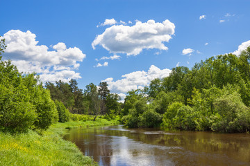 Fototapeta premium rural summer landscape with forest, river, blue sky and white clouds.