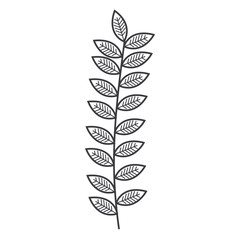 Leafy branch natural icon vector illustration design