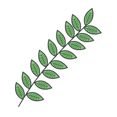 Leafy branch natural icon vector illustration design