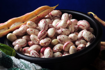 Phaseolus vulgaris बाकला 菜豆 Porotos Լոբի Fasulye Fagiolo Фасоль Fasole...