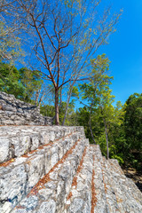 Fototapeta na wymiar Stairs on a Mayan Pyramid