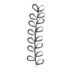 Leafy branch natural icon vector illustration design