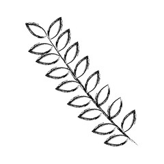 Leafy branch natural icon vector illustration design