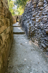 Fototapeta na wymiar Narrow Mayan Road