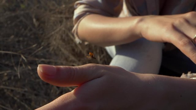 Pretty woman holding ladybug, close-up portrait. Beautiful beetle crawls along her arm and fly away. Slowmotion.