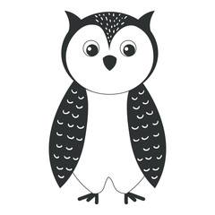 cute and tender owl vector illustration design