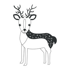 Fototapeta na wymiar cute and tender reindeer vector illustration design