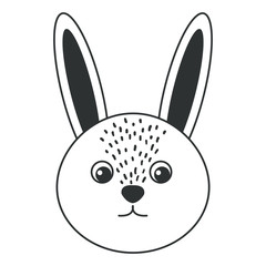 cute and tender rabbit vector illustration design