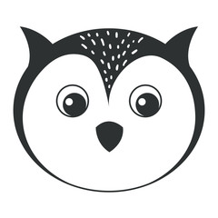 cute and tender owl vector illustration design