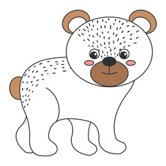 cute and tender bear vector illustration design