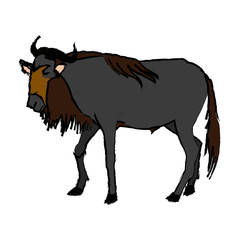 wildebeest standing african wildlife animal