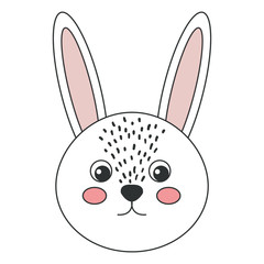 cute and tender rabbit vector illustration design