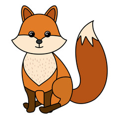 cute and tender fox vector illustration design