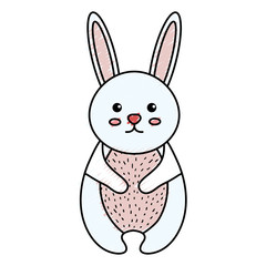 cute and tender rabbit vector illustration design