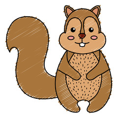 cute and tender chipmunk vector illustration design