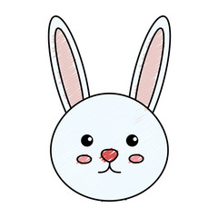 cute and tender rabbit vector illustration design