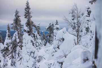 Beautiful cold mountain view of ski resort, sunny winter day with slope, piste and ski lift
