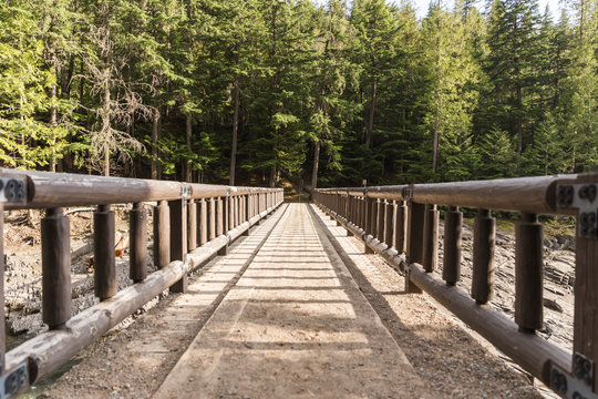Wooden Foot Bridge Leading to the Forest