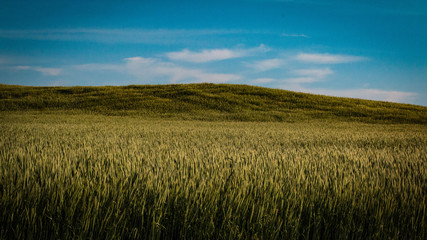 field and sky