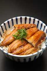 秋刀魚の蒲焼丼