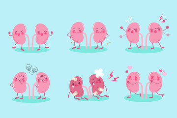 cute cartoon kidney